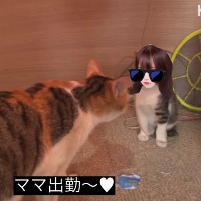かるあさんのプロフィール画像