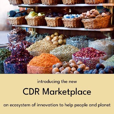 International #CDRManifesto, Corporate Digital Responsibility, #CDR, 