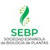 SEBP (@newssebp) Twitter profile photo SEBP (@newssebp) Twitter profile photo