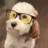 MarkTinderholt's profile picture. The Azure Terraformer. Software Engineer / Architect @Microsoft. HashiCorp Ambassador. Cloud & DevOps Thought Leader. Author. Opinions are my own.