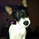 ann moss - @Amoss23I - Twitter