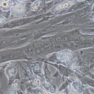 oxy076_SAMlab's profile picture. One life One adventure Carpe diem