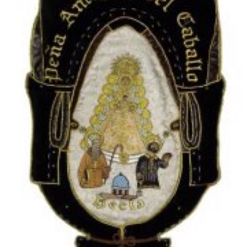 caballosyecla's profile picture. 