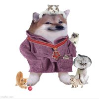 NAFO Cat Mama (@motherofcatslj) 's Twitter Profile