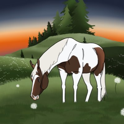16 ✨ horse artist 🖋️  my instagram: scopey.equine