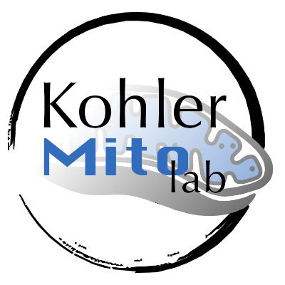 AKohler_MitoLab Profile Picture