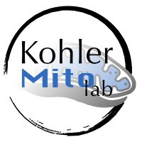 Kohler Mito Lab(@AKohler_MitoLab) 's Twitter Profile Photo