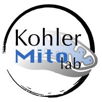 Kohler Mito Lab (@akohler_mitolab) 's Twitter Profile Photo Kohler Mito Lab (@akohler_mitolab) 's Twitter Profile Photo