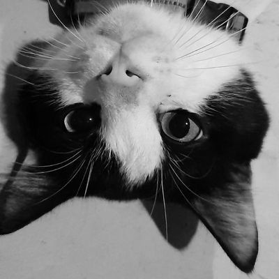 hpryga_'s profile picture. 