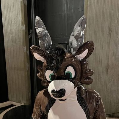 18+ Loves fursuits, mummification, bondage, latex, breathplay,and being a good deer toy.  @tygeronallfours is my loving cat. Please do not repsost elsewhere.