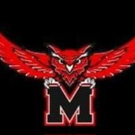 OwlBoosters's profile picture. 