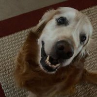 Cliff Parsons (@maccliffrd) 's Twitter Profile