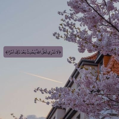 ii_ob5's profile picture. اللهّم طمأنينة لايعقُبها قلق🌱..