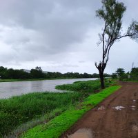 Prasenjit | ಪ್ರಸೆಂಜಿತ್ | প্রসেনজিৎ (@jerremee) 's Twitter Profile