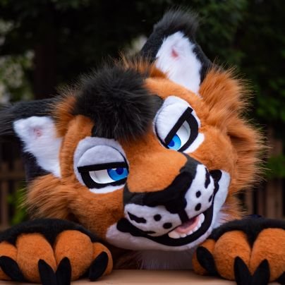 A caracal called Caspian | Hobbies include hiking, meowing, anything outside, and being a cat | Meow | Fursuit by @gnaws