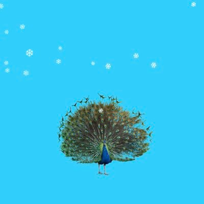 ep_qym's profile picture. 