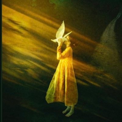 Xlt2X's profile picture. 如果世上有一種正義，是要求女性閉嘴並放棄某些權利便能達成，那肯定是世上最容易完成的正義 ，因為此事原本就無所不在的發生中 ….（請為自己選擇的人生負起責任，那不是女人小孩該為你承擔的）