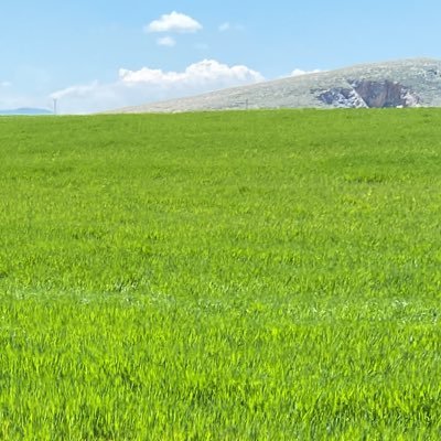 T.C. Sağlık Bakanlığı Sağlık Personeli Sağlık Memuru. SABIR YA SABIR !