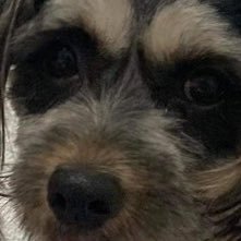 Mishyu_'s profile picture. mostly here for the raffle so ignore me.