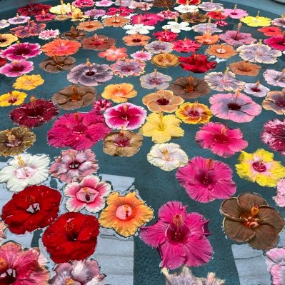 ayatyosubo's profile picture. よろしくお願いいたします😙