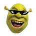 Shrekt (@indianshrekt) Twitter profile photo