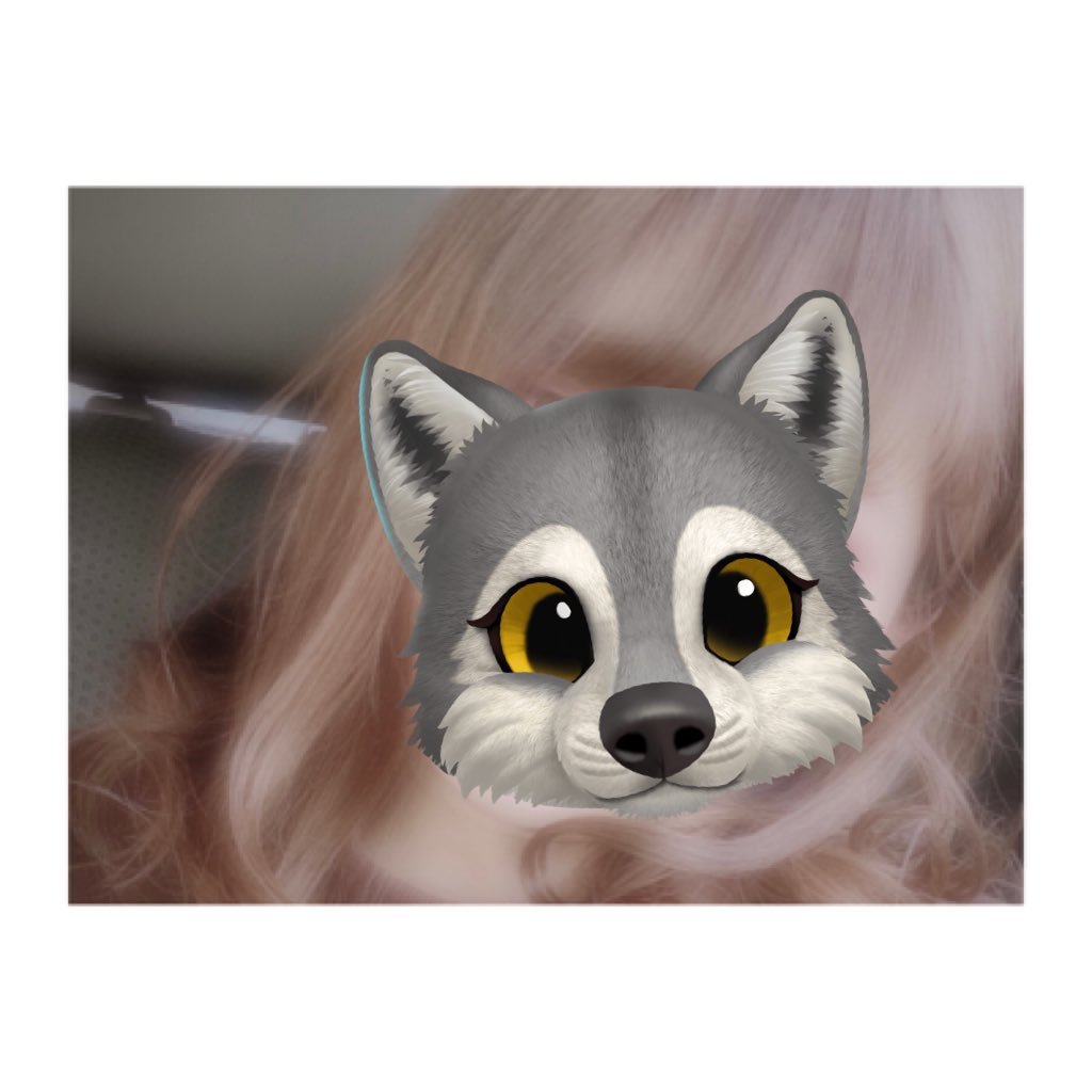 しおんさんのプロフィール画像