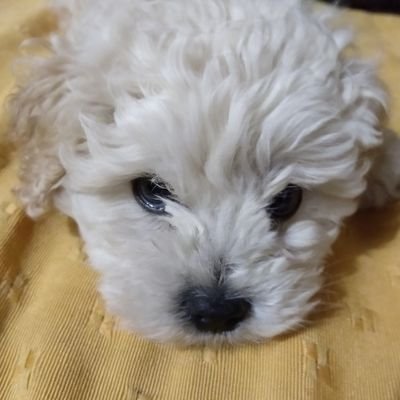 MeryC347's profile picture. 