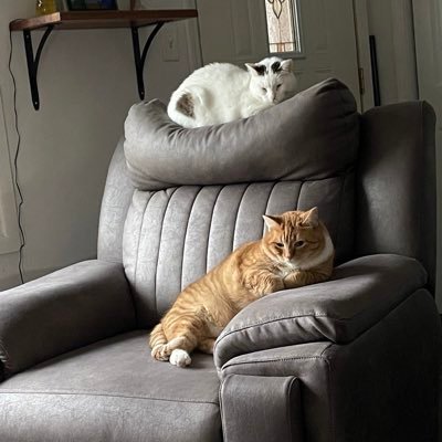 letlof79's profile picture. Live life to the fullest! 😘❤️💯