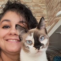 Priscila Saatmam ♿️ Bugiganga Literária(@thepristar) 's Twitter Profile Photo