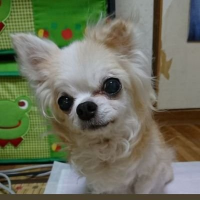 mika(@mkjj1215) 's Twitter Profile Photo