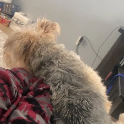 danibeaws's profile picture. 