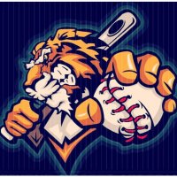 HC Tiger Baseball (@tigerhc32587) 's Twitter Profile