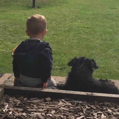 i have four grown up daughters, 6 beautiful grandkids, married to paul @beartikitime, a dog called trevor and love to read