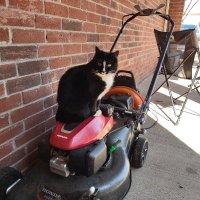 Michael Jones (@crabboil929) 's Twitter Profile Photo Michael Jones (@crabboil929) 's Twitter Profile Photo