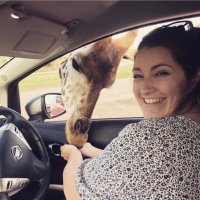 Hannah McWilliams OT (@hannah_mcw) 's Twitter Profile