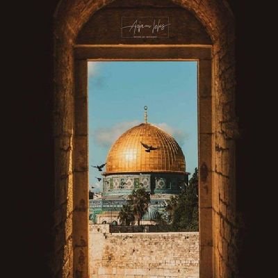 smyrt411391's profile picture. اللهم صلِ وسلم على سيدنا محمد 💚