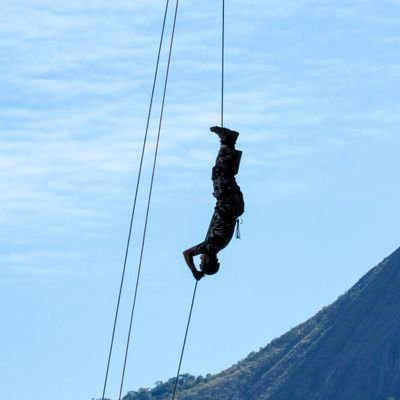 Sociólogo especialista em logística conservador só da biodiversidade.