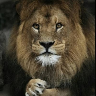 manjangfatou48's profile picture. When all else fails God doesn’t fail.
Palm 73:26