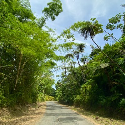 Documentación de crímenes ambientales en Puerto Rico.