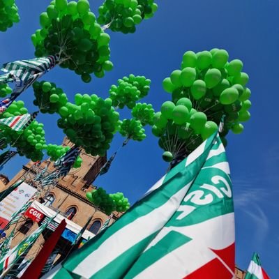 cinzia_zaniboni's profile picture. Sindacato dei lavoratori  delle  costruzioni (edili,legno,lapidei, laterizi, cemento)