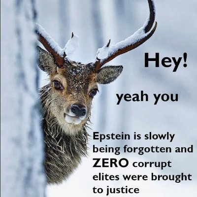 ajax24373778's profile picture. just here to see shit