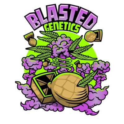 🧬 Legacy Cannabis Breeder (33 years experience) 🧬 FLAVOR & POTENCY 🧬Creator of Pez Mints, Diamonds, Star Mints & Donut Gas 🧬 Let's talk Genetics!
🇺🇸