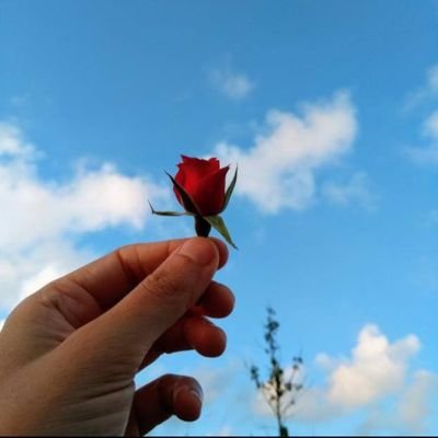 Betul_bttl's profile picture. 