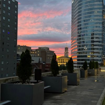 HarryWangPaper's profile picture. 