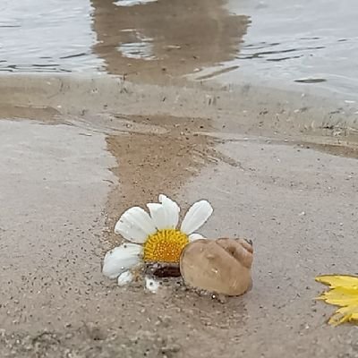 ifuggedyodaddy's profile picture. ;)