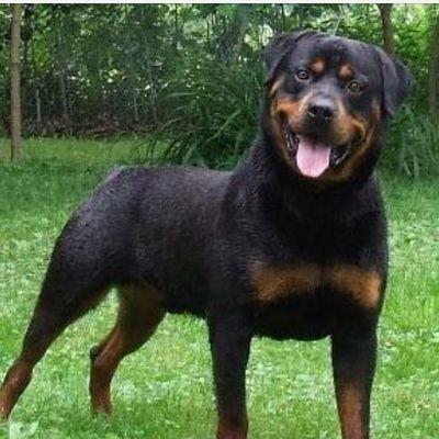 Bethelnwab45999's profile picture.