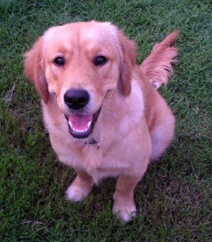 Joey_888's profile picture. 