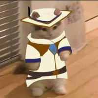 Cabeloo 🥚 (@lukinhasmeg) 's Twitter Profile