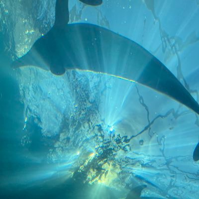 sApXfhs2BlLwESC's profile picture. 