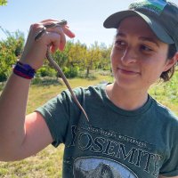 Katie Fiocca, PhD (@fioccakatie) 's Twitter Profile